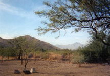 laveen